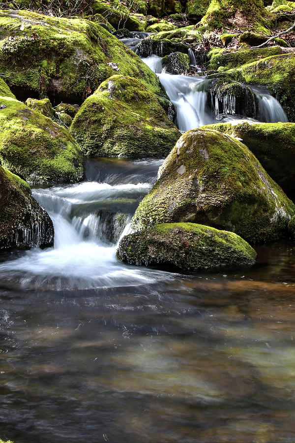 Smoky Mountains Stream Photograph by Carol Montoya