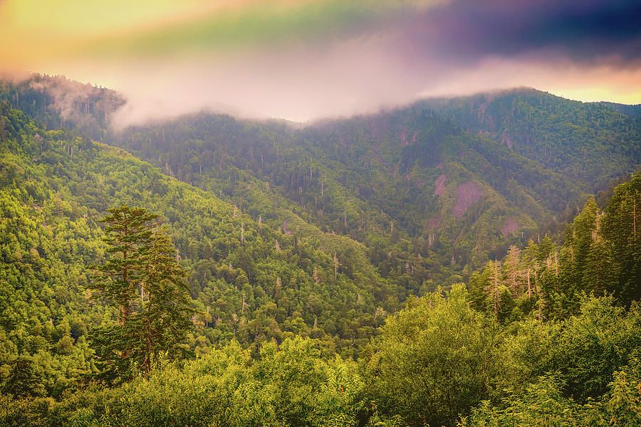 Smoky Mountains Photograph by Todd Ryburn