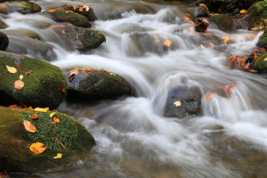 Smoky Mountains Waters In Fall Photograph by Carol Montoya