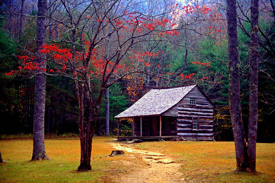 Tree Photograph - Smoky Mtn. Cabin by Paul W Faust -  Impressions of Light