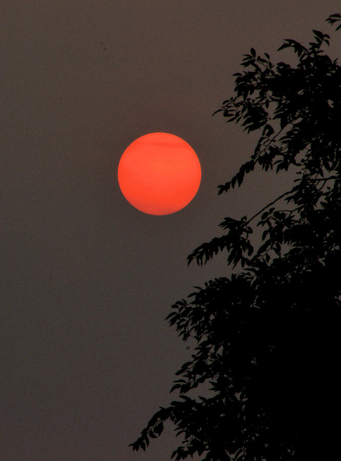 Smoky Sunset Photograph by Scott Carlton