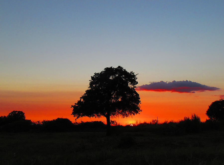 Sunset Photograph - Smoky Sunset by Shannon Story