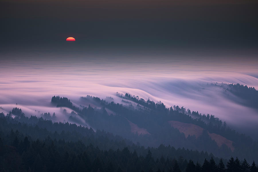 Fog Photograph - Smoky Tam, Marin County by Vincent James