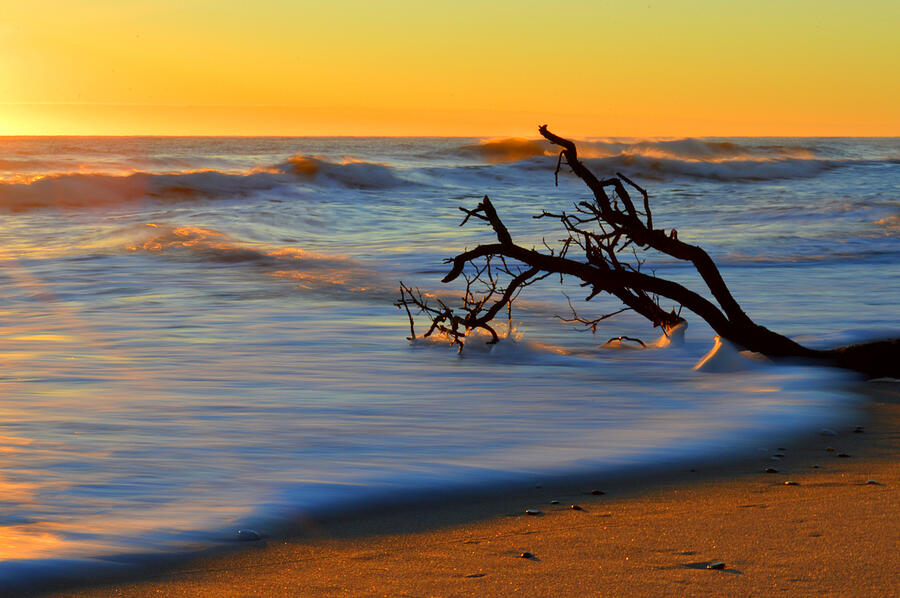 Smooth Move - Nauset Beach Orleans Photograph by Dianne Cowen Cape Cod Photography
