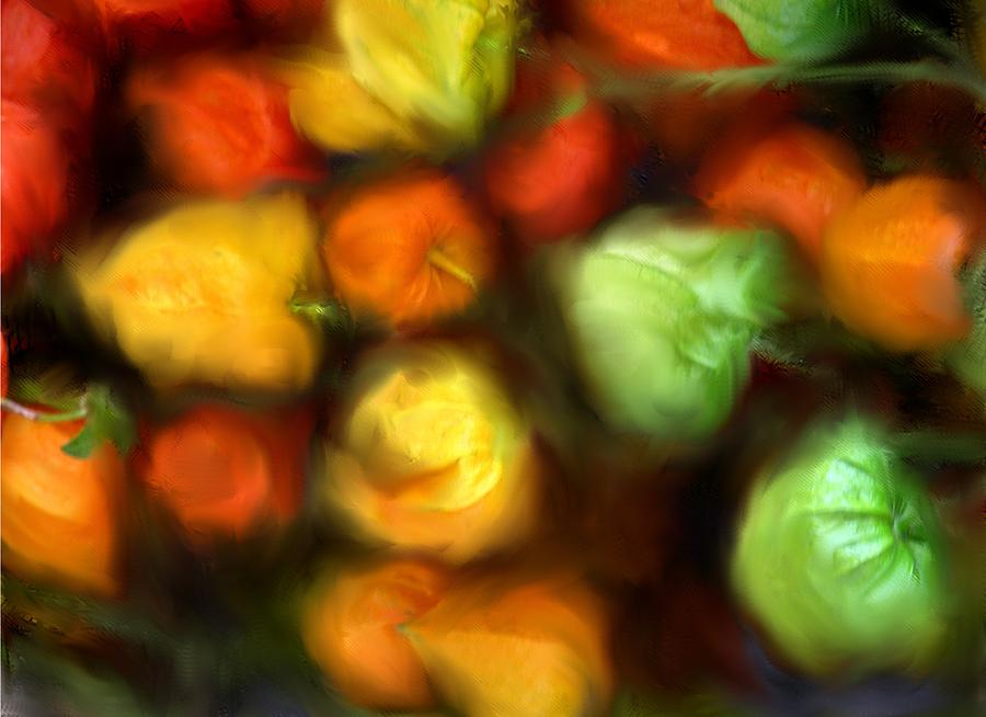Smooth Peppers Photograph by Ian  MacDonald