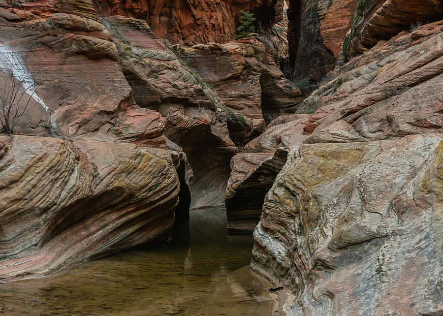 Smooth Rocks of Echo Canyon Photograph by Kelly VanDellen