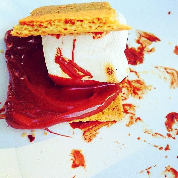 Chocolate Still Life Photograph - Smore So Yummy #smore #sweets #dessert by Mae Coy