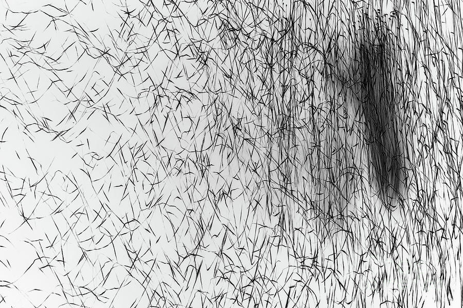 Smudge by David R Mann Smudge by David R Mann