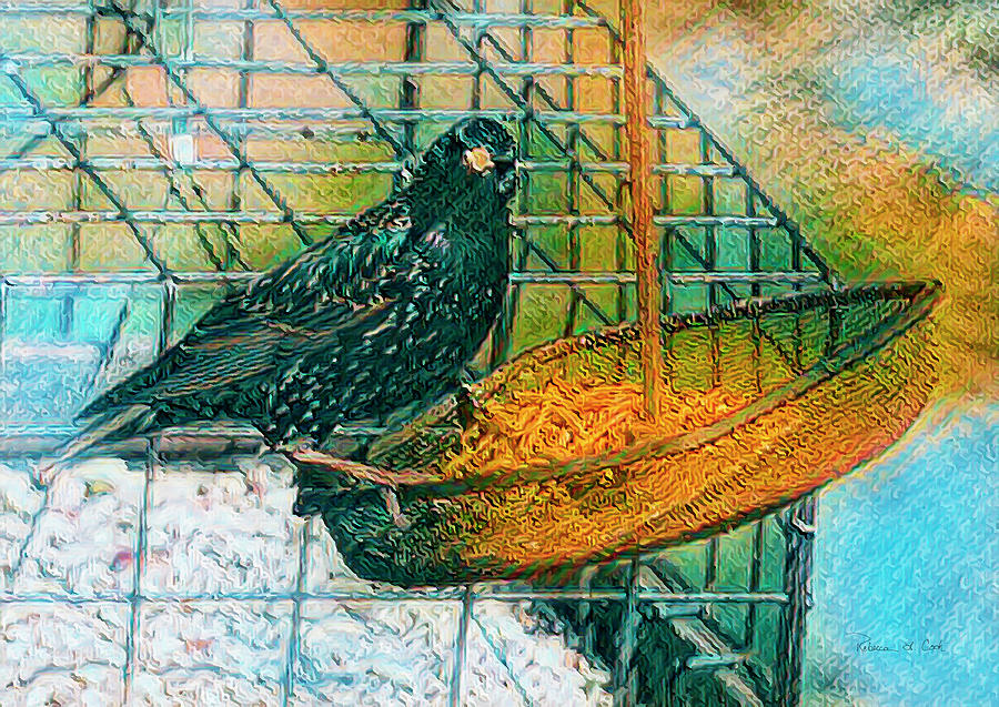 Smug Starling Photograph by Bellesouth Studio