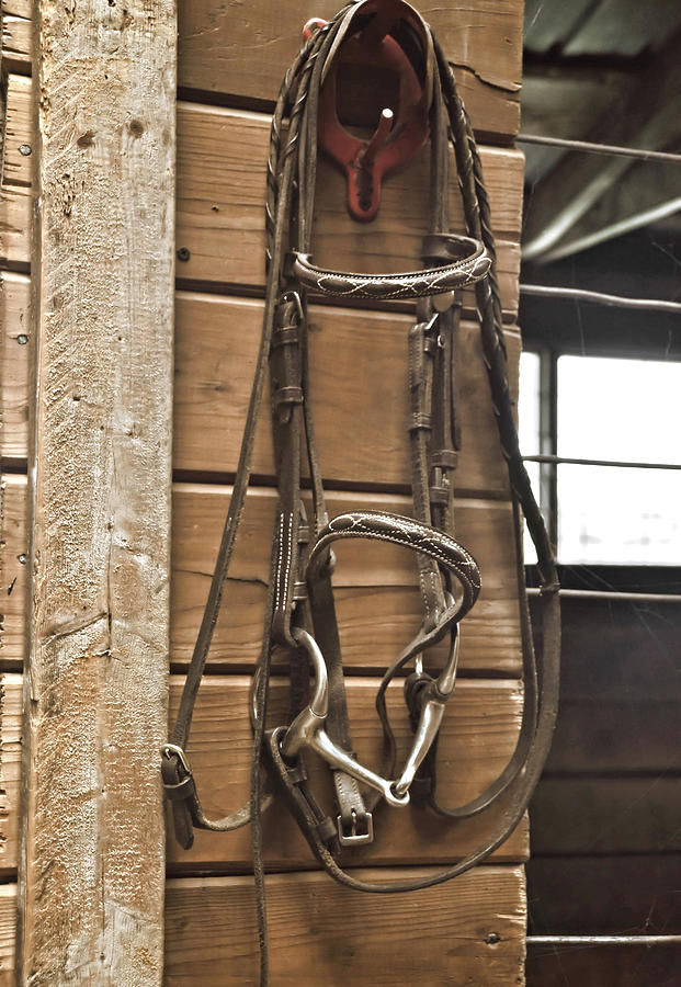 Snaffle Bridle Photograph by JAMART Photography