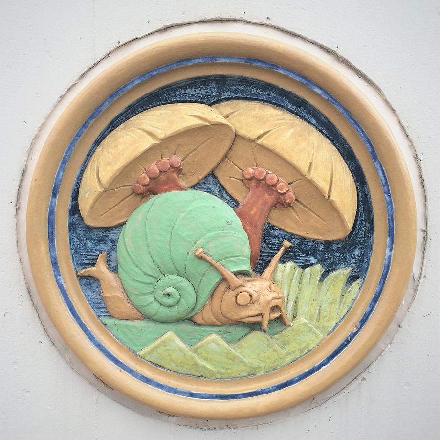 Snail Ceramic Plaque Photograph by Joseph Skompski