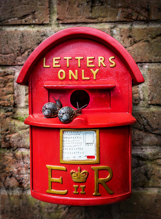 Snail Mail Photograph by Nick Bywater