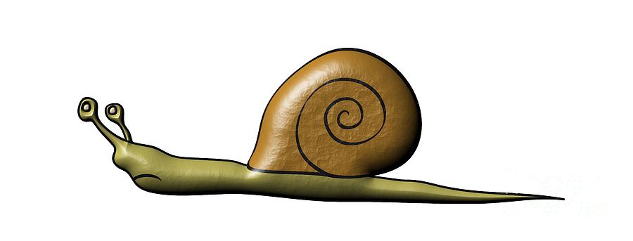 Snail Digital Art by Michal Boubin