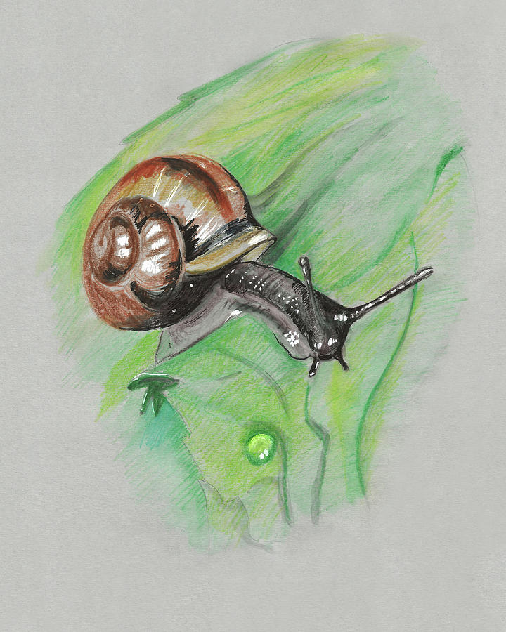 Snail on a Leaf Painting by Masha Batkova