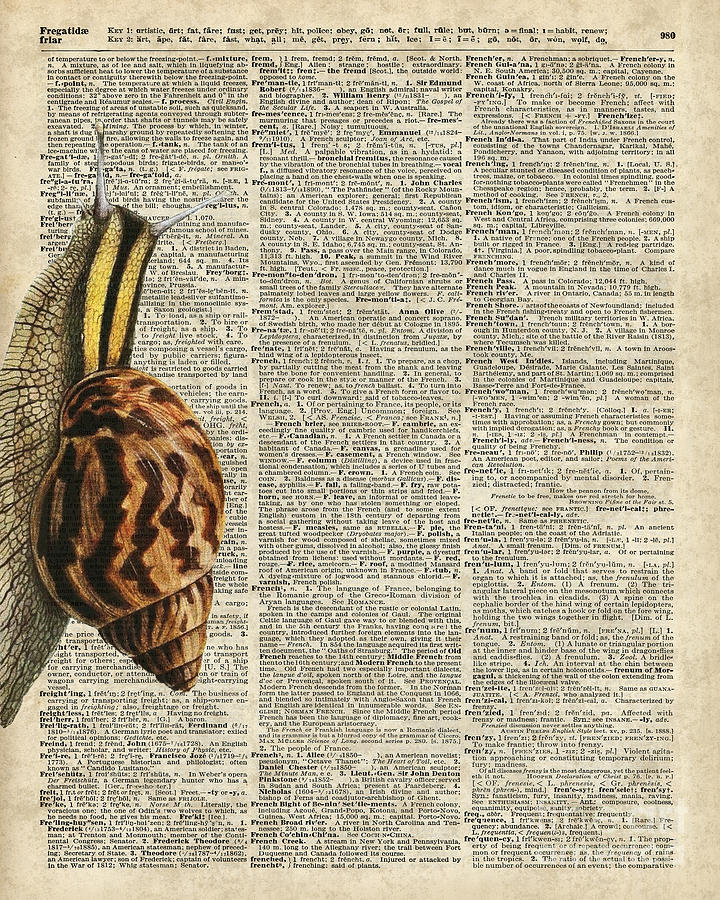 Nature Digital Art - Snail worm on Dictionary page by Anna W