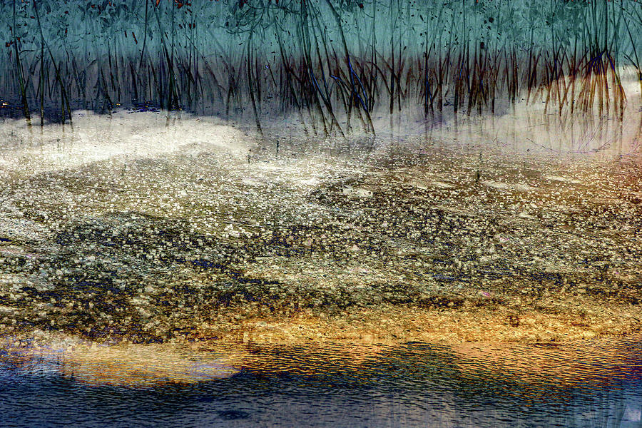 Landscape Digital Art - Snails in the Mud by William Bader