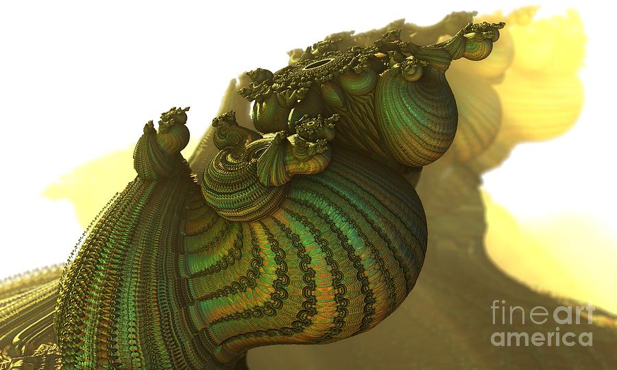 Snails Sunnyside Up Digital Art by Jon Munson II