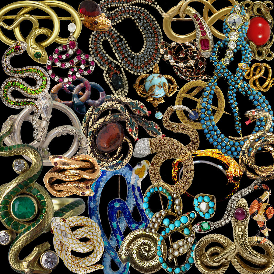 Snake Brooches Photograph by Andrew Fare
