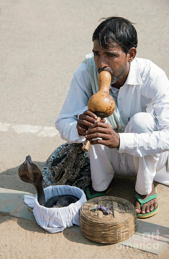 Snake charmer hypnotizing a cobra in India Photograph by Georgia Evans