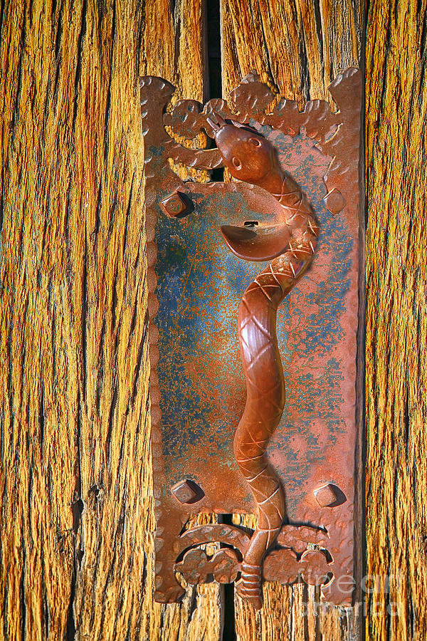 Snake Door Handle Photograph by Teresa Zieba