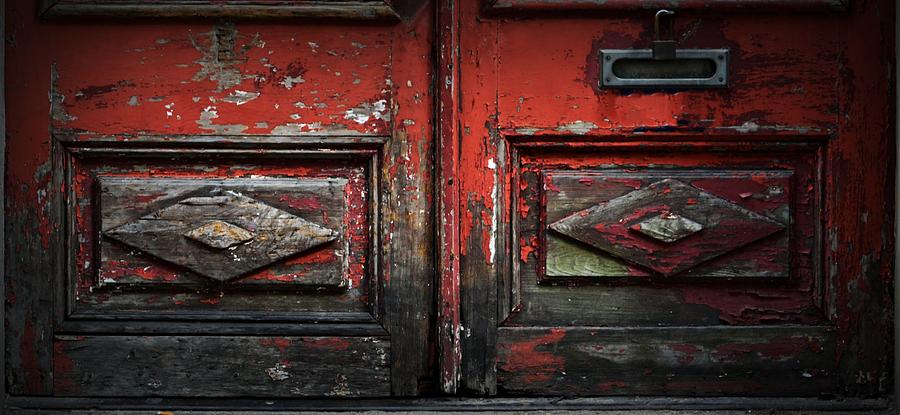 Snake Eyes on Red Door Photograph by Nadalyn Larsen