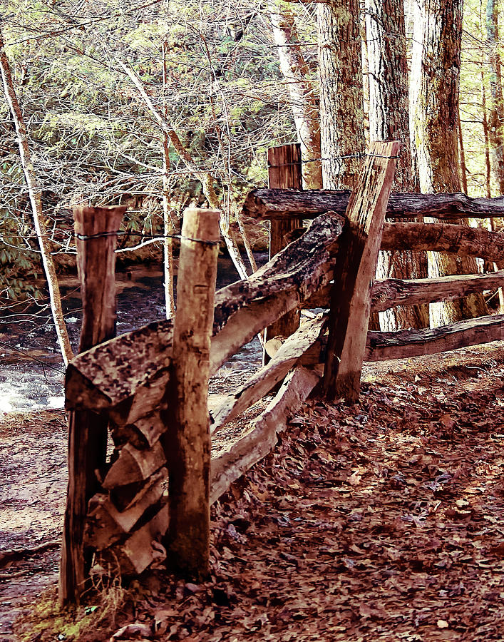 Nature Photograph - Snake Fence by M Three Photos