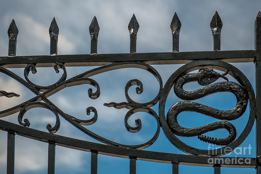 Unique Photograph - Snake Gates by Philip Simmons by Dale Powell