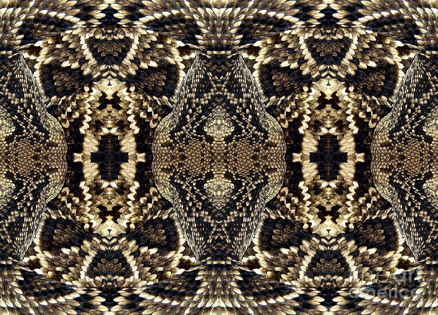 Snake Macro Warp Abstract Photograph by Rose Santuci-Sofranko