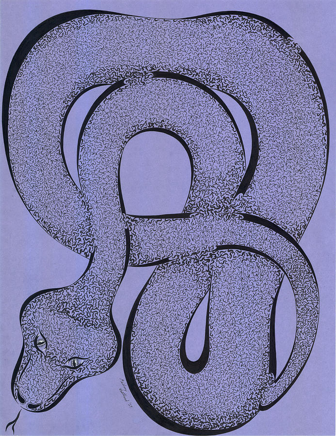Boa Constrictor Drawing - Snake Maze by Mallory Westlund