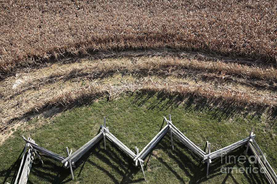 Snake-Rail Fence and Cornfield Photograph by William Kuta