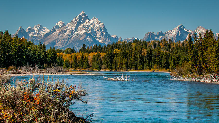 Snake River near Moran Junction Photograph by William Krumpelman