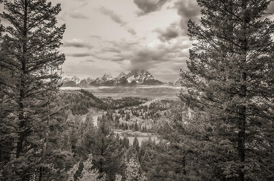 Black And White Photograph - Snake River Overlook Grand Teton Monochromatic by Scott McGuire