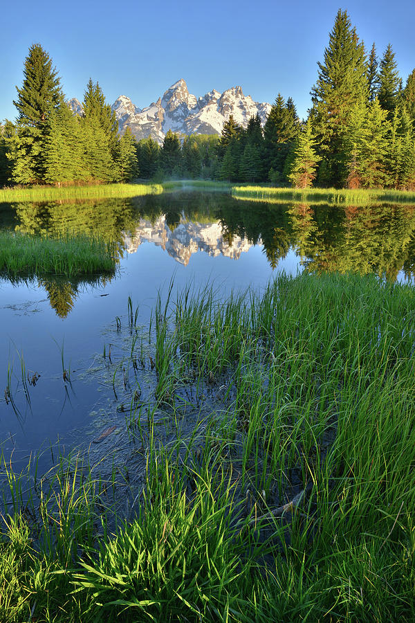 Snake River Reflection of Grand Tetons Photograph by Ray Mathis