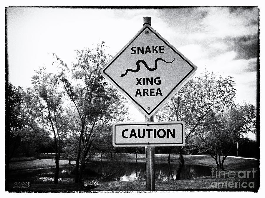 Snake Xing Area Photograph