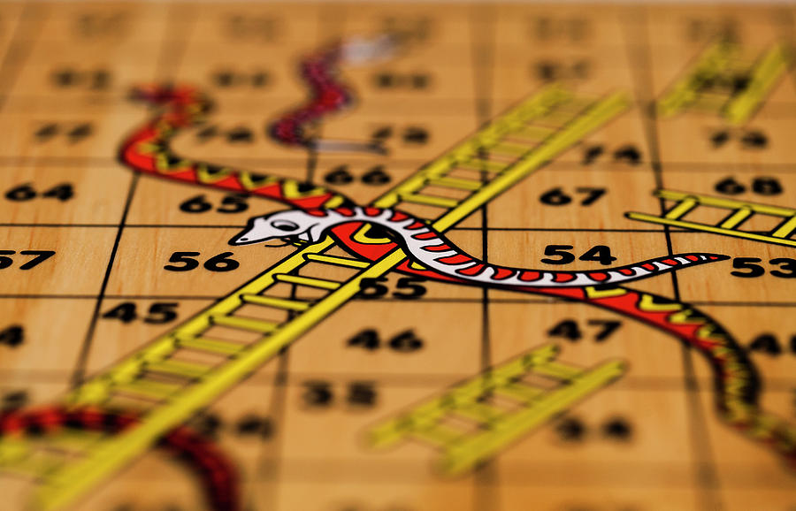 Snake Photograph - Snakes and Ladders Selective by Winston Stephenson Photography