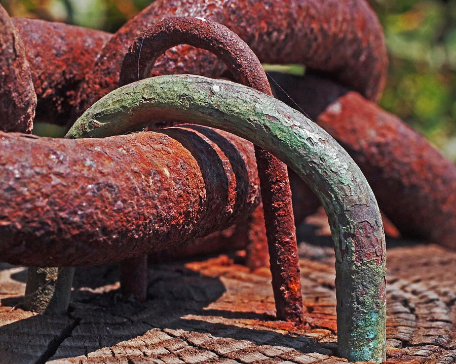 Snaking Rust  Photograph by Rona Black