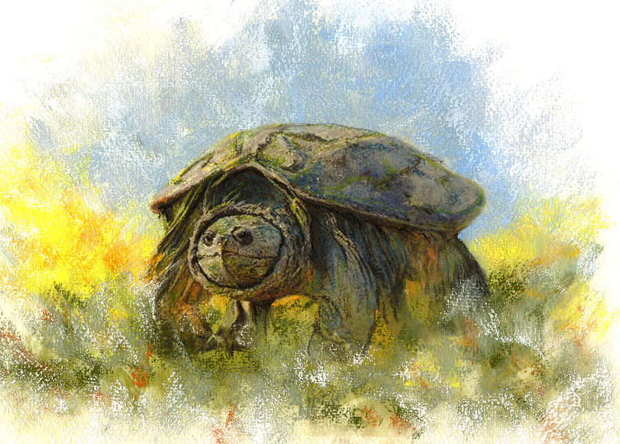 snapping turtle art