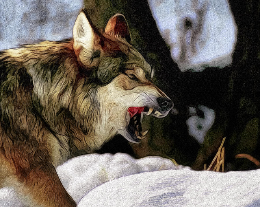 Snarling Wolf 3 Digital Art by Ernie Echols Pixels