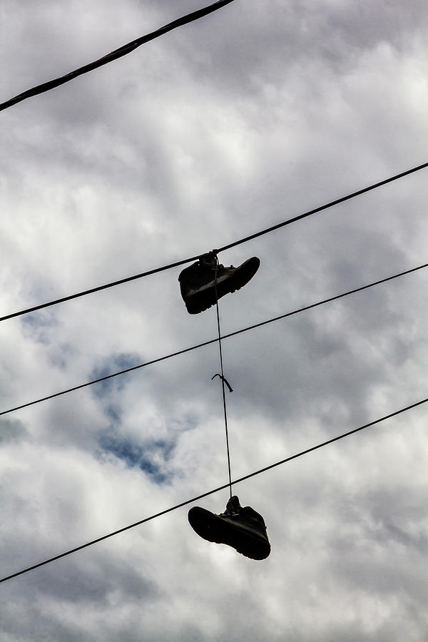 Sneaker on Phone Lines Photograph by Robert Ullmann