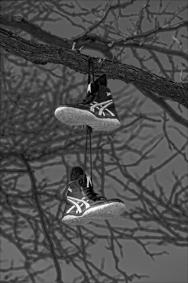 Sneakers in Tree Photograph by Robert Ullmann