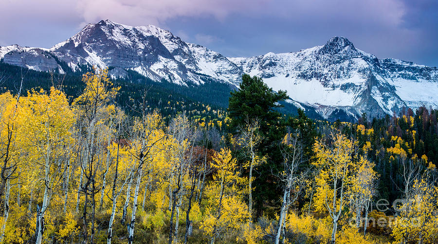 Sneffels Range in the Fall - Colorado Photograph by Gary Whitton