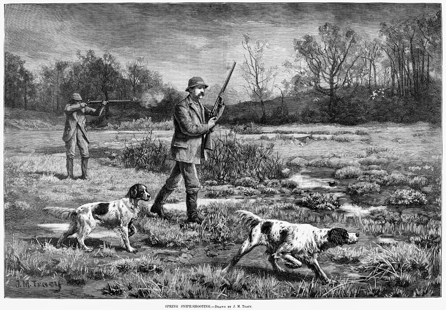 Snipe Hunters, 1886 Photograph by Granger - Fine Art America