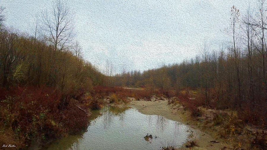 Snohomish River Tributary Digital Art by Rob Buller
