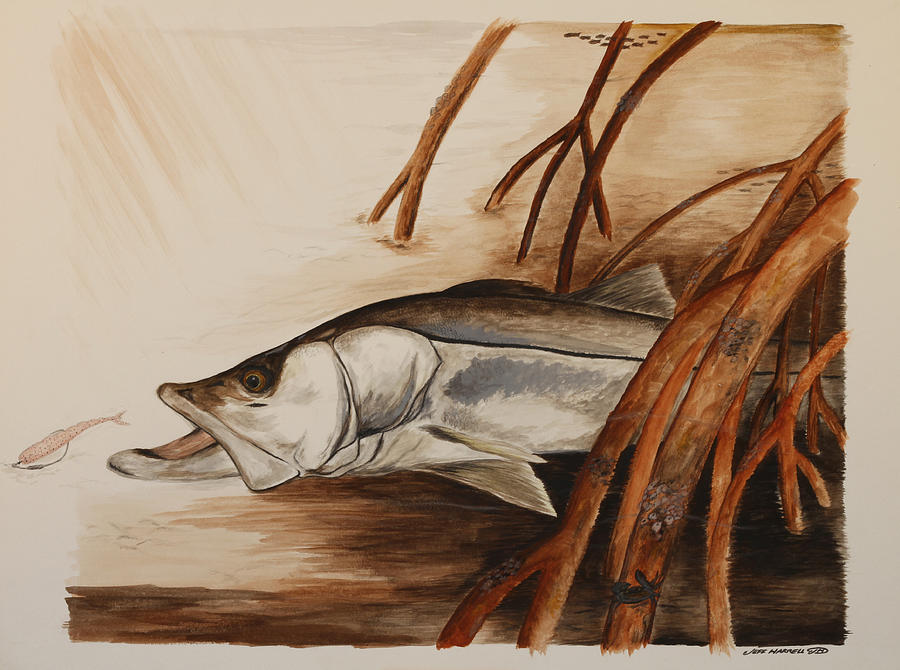 Snook Painting - Snook In The Mangroves by Jeff Harrell