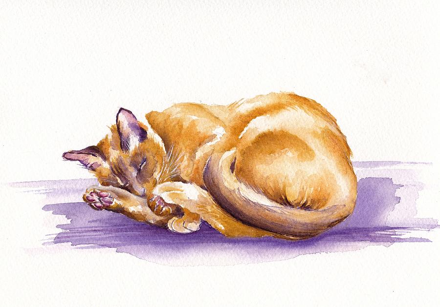 Snooze - sleeping Burmese Cat  Painting by Debra Hall