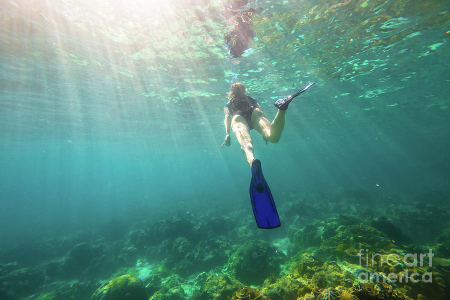 Snorkeling In Coral Reef Photograph By Benny Marty - Pixels