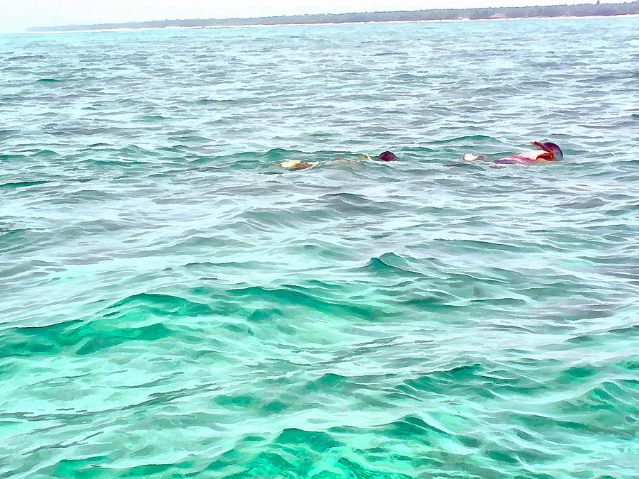 Snorkeling in coral waters Photograph by Ashish Agarwal