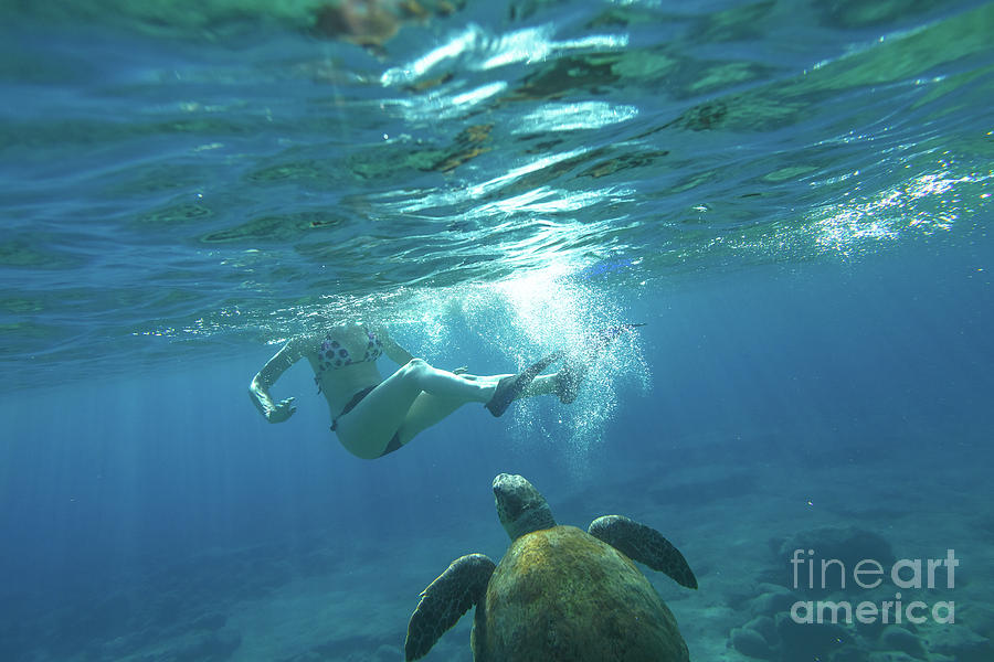 Snorkeling with sea turtle Photograph by Benny Marty