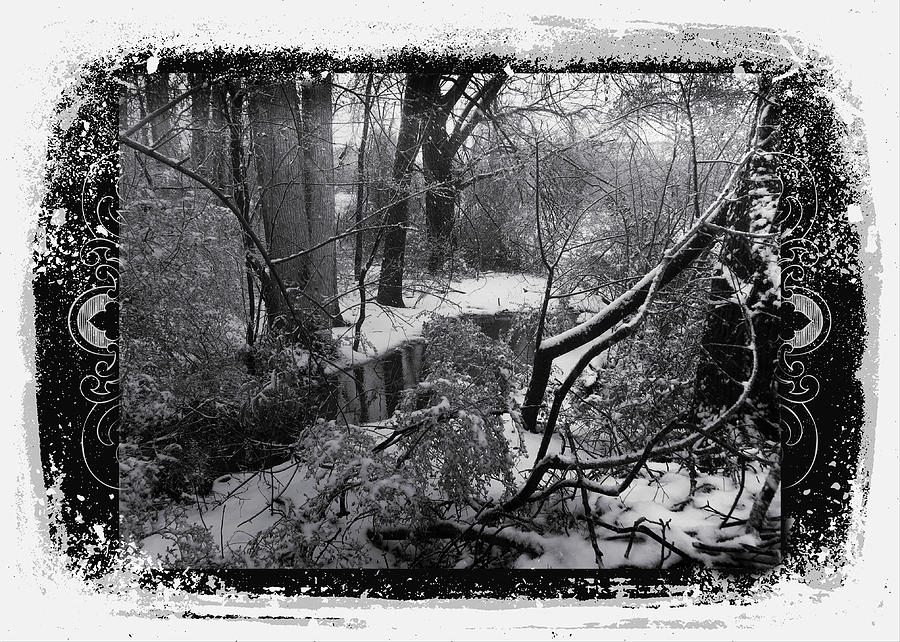 Snow 2018 by Robert G Kernodle Snow 2018 by Robert G Kernodle