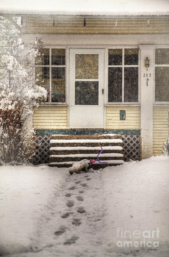 Snow 203 Door Photograph by Craig J Satterlee
